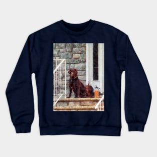 Dogs - Chocolate Labrador on Porch Crewneck Sweatshirt